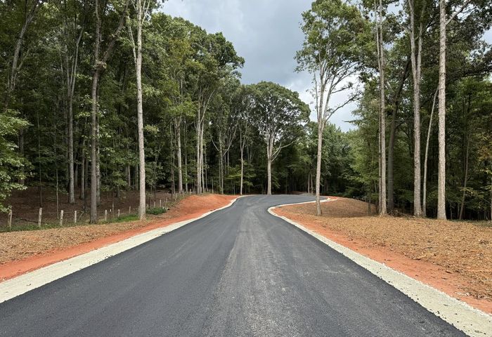 Fresh paved road curving through mature North Georgia hardwoods on a Millwood prepared lot